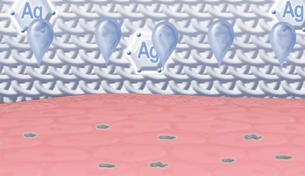 InterDry® – Intertrigo and skin fold management – Coloplast